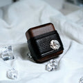 Steampunk AirPod Case - iWoodStore