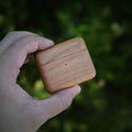 Stylish AirPods 3 Case - iWoodStore